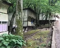 Трехместный номер «Эконом» База отдыха База отдыха Золотой колос село Бжид Забронируй по своей цене!