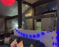 Дом/коттедж 2 спальни База отдыха База отдыха Plesheevo Hills село Городище