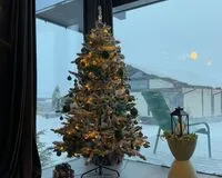 Дом/коттедж 2 спальни База отдыха База отдыха Plesheevo Hills село Городище новый объект Забронируй по своей цене! 5% скидка по промокоду!