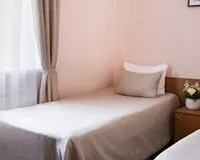Двухместный номер с 2 кроватями Отель Отель Астерия Санкт-Петербург 470 м от метро Сенная площадь