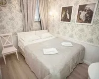 Двухместный номер с 1 кроватью Отель Отель Travelto Repina Санкт-Петербург рейтинг 4.5