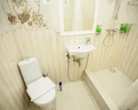 Двухместный номер с 1 кроватью «Люкс» Отель Отель Travelto Repina Санкт-Петербург 496 м от метро Василеостровская