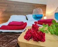 Двухместный номер с 1 кроватью «Стандарт» Отель Отель Антарес Анапа 2 звезды