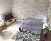 Двухместный номер с 1 кроватью, душем и туалетом Апарт-Отель Апарт-Отель Ирис Владивосток без отзывов