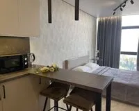 Апартаменты 2 местные с кухней Апартаменты Апартаменты DeLuxe Метрополь Сочи без звезд без отзывов