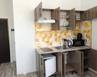 Двухместный номер с 1 кроватью Апартаменты Апартаменты Simple Seasons Aparts Санкт-Петербург метро Василеостровская без звезд