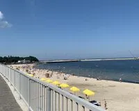 Апартаменты 1 спальня Апартаменты БалтикАпарт Набережная Прованс Пионерский
