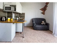 Апартаменты 1 спальня Апартаменты Apartments near the bus station Воронеж без звезд