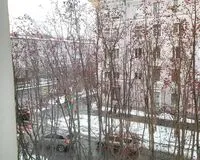 Апартаменты 1 спальня Апартаменты Апартаменты Логово Румс Шестиместные Мурманск без отзывов