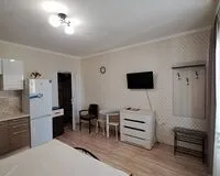 Двухместный номер «Люкс» Гостевой дом Гостевой дом Клевер  село Оленевка