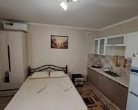 Двухместный номер «Люкс» Гостевой дом Гостевой дом Клевер  село Оленевка