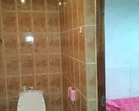 Двухместный номер с 1 кроватью «Стандарт» Гостевой дом Гостевой дом Под пальмой Сочи без звезд 5% скидка по промокоду!