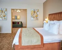 Двухместный номер с 1 кроватью «Люкс» Отель Отель River Palace Hotel Санкт-Петербург 538 м от метро Спортивная