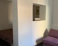 Апартаменты 1 спальня Отель Отель Эконом-отель Эванс на Чистых прудах Москва 1 звезда