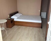 Двухместный номер с 1 кроватью Гостевой дом Гостевой дом Дежавю Сочи Забронируй по своей цене!