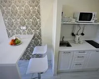 Апартаменты 1 спальня Апартаменты Апартаменты SpbLounge Apartments Санкт-Петербург 89 м от метро Площадь Восстания