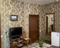 Двухместный номер с 1 кроватью «Люкс» Отель Отель Astery Hotel Санкт-Петербург 457 м от метро Горьковская