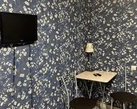 Четырехместный номер с общим душем и туалетом Мини-отель Мини-отель Адванс-Трио Санкт-Петербург 872 м от метро Гостиный двор