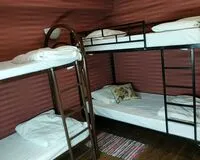 Бюджетный шестиместный номер Хостел Хостел Полянка на Чистых прудах Москва рейтинг 3.2