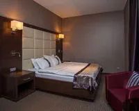 Двухместный номер с 1 кроватью «Стандарт» Отель Spa-отель Ария Вологда 5 звезд