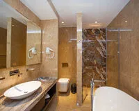 Двухместный номер с 1 кроватью «Стандарт» Отель Spa-отель Ария Вологда без отзывов