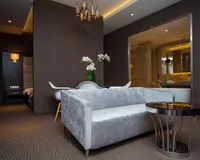 Двухместный номер с 1 кроватью «Люкс» Отель Spa-отель Ария Вологда без отзывов