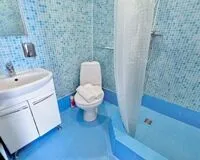 Двухместный номер с 1 кроватью «Стандарт» Отель РОС ОТЕЛЬ Измайлово Москва 3 звезды