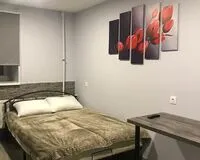 Двухместный номер с 1 кроватью и душем Хостел Хостел RaDaR Hostel Санкт-Петербург 414 м от метро Технологический институт-2