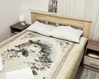 Двухместный номер с 1 кроватью, душем и туалетом Мини-отель Мини-отель Ковенский Санкт-Петербург 5% скидка по промокоду!
