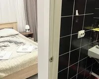 Двухместный номер с 1 кроватью, душем и туалетом Мини-отель Мини-отель Ковенский Санкт-Петербург метро Площадь Восстания 674 м от метро Площадь Восстания