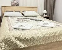 Двухместный номер с 1 кроватью, душем и туалетом Мини-отель Мини-отель Ковенский Санкт-Петербург метро Площадь Восстания 5 отзывов