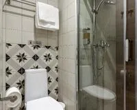 Двухместный номер с 1 кроватью Отель Отель Демут Санкт-Петербург метро Площадь Восстания рейтинг 4.0
