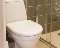 Трехместный номер с душем и туалетом Мини-отель Мини-отель Классики Санкт-Петербург Забронируй по своей цене!