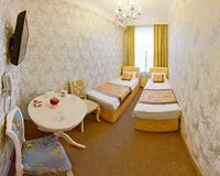 Двухместный номер с 1 кроватью «Стандарт» Гостевой дом Гостевой дом Golden Palace Санкт-Петербург 4 звезды