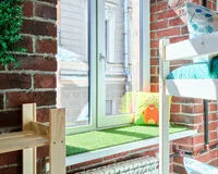 Кровать в общем 6-местном номере Хостел Хостел Garden 22/2 Санкт-Петербург рейтинг 4.2