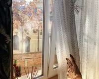 Апартаменты 1 спальня Апартаменты Апартаменты Light rooms apartments Ростов-на-Дону
