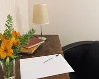 Двухместный номер с 1 кроватью «Стандарт» Мини-отель Мини-отель Толедо Ростов-на-Дону