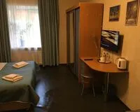 Двухместный номер с 1 кроватью «Стандарт» Мини-отель Мини-отель Pushkinskaya 8 Mini Hotel Санкт-Петербург метро Маяковская 223 м от метро Маяковская