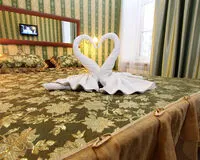 Двухместный номер с 1 кроватью, душем и туалетом Гостевой дом Гостевой дом Геральда на Невском пр. 126 Санкт-Петербург