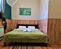 Двухместный номер с 1 кроватью «Стандарт» Мини-отель Мини-отель Galla hotel Балашиха без звезд