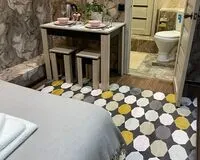 Двухместный номер с 1 кроватью, душем и туалетом Апарт-Отель Апарт-Отель Окружной Москва 5 отзывов