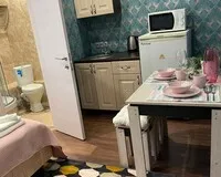 Двухместный номер с 1 кроватью, душем и туалетом Апарт-Отель Апарт-Отель Окружной Москва метро Окружная