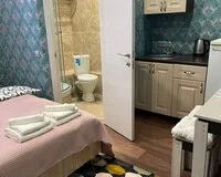 Двухместный номер с 1 кроватью, душем и туалетом Апарт-Отель Апарт-Отель Окружной Москва рейтинг 2.8