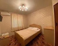 Двухместный номер с 1 кроватью «Стандарт» Гостевой дом Гостевой дом Южаночка Сочи без звезд
