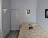 Двухместный номер с 1 кроватью, общим душем и туалетом Мини-отель Гостевой дом Diva Санкт-Петербург 5 отзывов