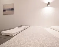 Двухместный номер с 1 кроватью, душем и туалетом Отель Отель Voyageur hotel Санкт-Петербург метро Василеостровская 5 отзывов