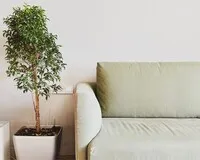 Двухместный номер с 1 кроватью «Люкс» Апартаменты Апартаменты Little Home Central Park Иркутск новый объект