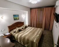 Двухместный номер с 1 кроватью Отель Отель Le Vashoff Hotel Санкт-Петербург 694 м от метро Чкаловская