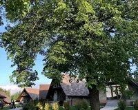 Дом/коттедж 2 спальни Отель Загородный Комплекс Слобода деревня Большая Тросна новый объект без отзывов 5% скидка по промокоду!