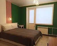 Двухместный номер с 1 кроватью, общим душем и туалетом Апартаменты Апартаменты Жильё посуточно на Камчатке Елизово